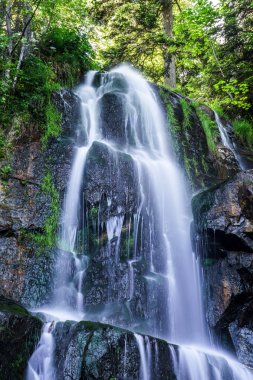 alsace ormandaki güzel küçük şelale