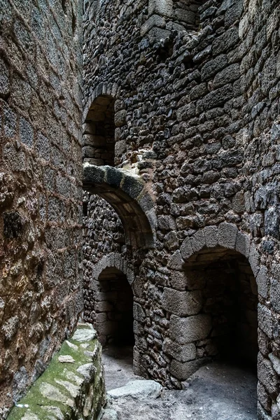 Alsace içinde eski ortaçağ kalesi ortenbourg — Stok fotoğraf