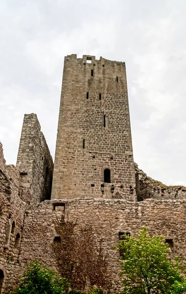 Old medieval fortress Ortenbourg in Alsace — Stock Photo, Image