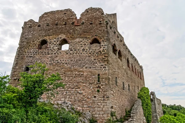 Old medieval fortress Ortenbourg in Alsace — Stock Photo, Image