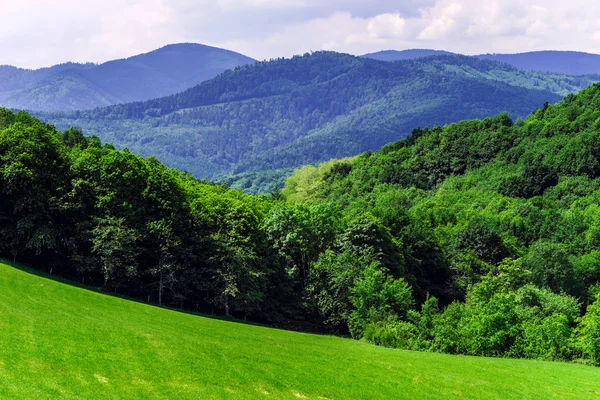 Belos campos verdes vívidos na Alsácia — Fotografia de Stock