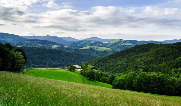 De groene heuvels van alsacea — Stockfoto