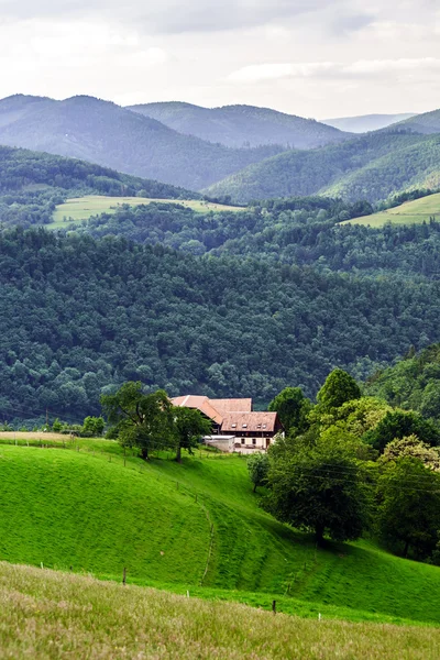 Las verdes colinas de Alsacea — Foto de Stock