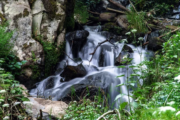 Красивый маленький водопад в Эльзасе — стоковое фото