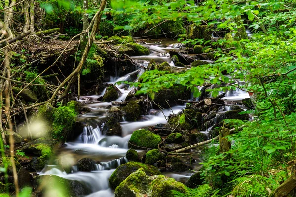 Beautiful small waterfall in Alsace forest — Stock Photo, Image