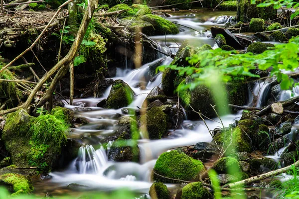 Cachoeira pequena bonita na floresta da Alsácia — Fotografia de Stock