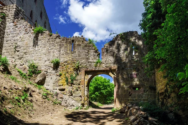 Middeleeuws kasteel andlau in Elzas — Stockfoto