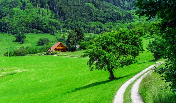Beautiful vivid green fields in Alsace Stock Picture