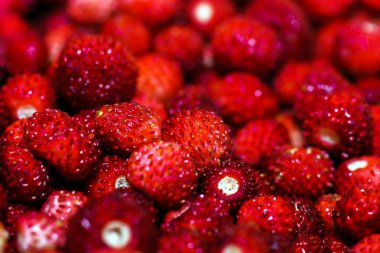 taze kırmızı orman çilek