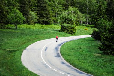 güzel yol yeşil alanları, doğal peyzaj
