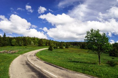 güzel yol yeşil alanları, doğal peyzaj