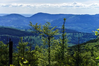 Kuş Uçuş alsace panoramik görünüm