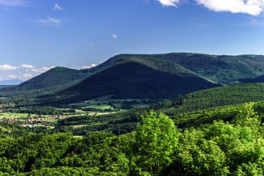 Kuş Uçuş alsace panoramik görünüm