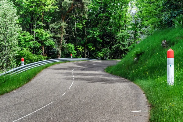 Hermoso camino en campos verdes, paisaje natural — Foto de Stock