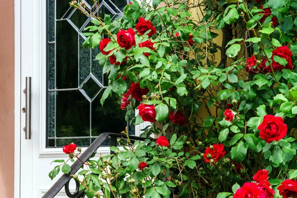 Home entrance decorated by natural roses — Stock Photo, Image