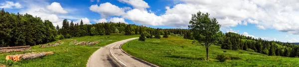 Красивая дорога в зеленых полях, природный ландшафт — стоковое фото