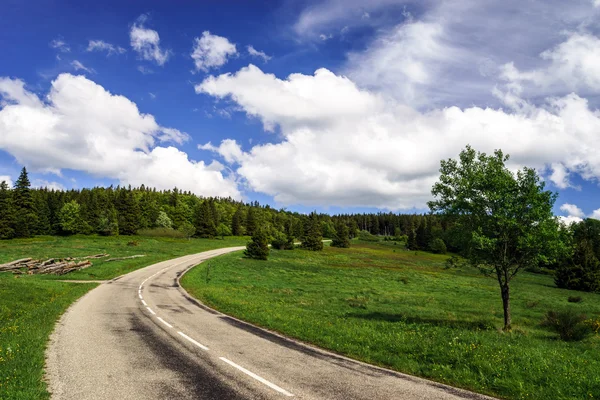 Прекрасна дорога в зелених полях, природний пейзаж — стокове фото