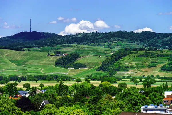 Breisach vista pájaro-mosca desde la colina — Foto de Stock