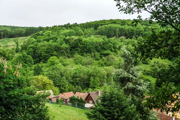De groene heuvels van de Elzas, Frankrijk — Stockfoto