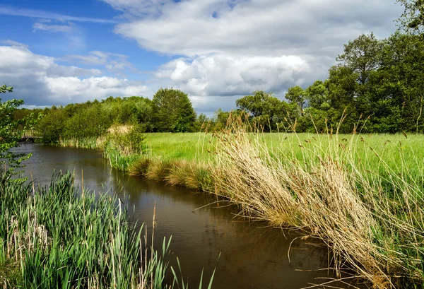 Paysage rural calme — Photo