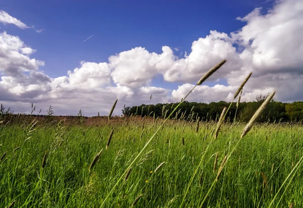 Rust rural landschap — Stockfoto