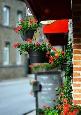 Cafe girişinde asılı saksı