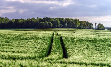 ekmek-Mısır alanın üzerine güneş