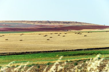renkli doğa manzara