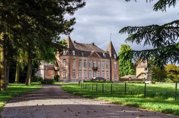 Château médiéval rénové — Photo