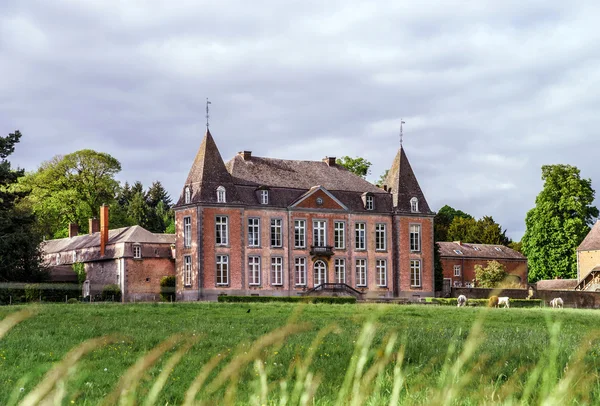 Château médiéval rénové — Photo