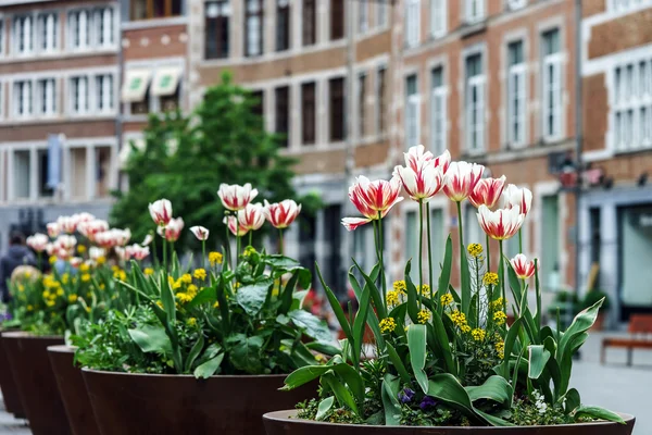 Vista tradicional de la calle del pueblo belgium — Foto de Stock