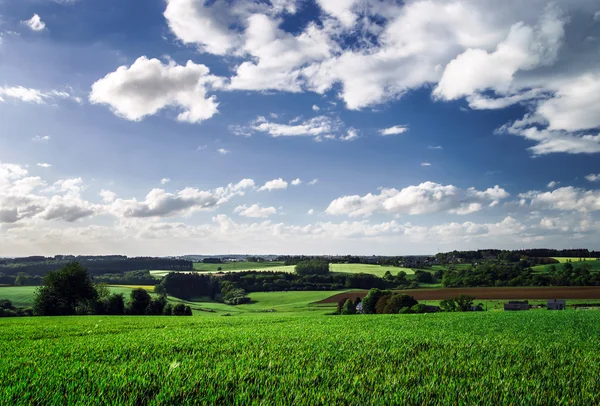 Paisagem rural calma — Fotografia de Stock