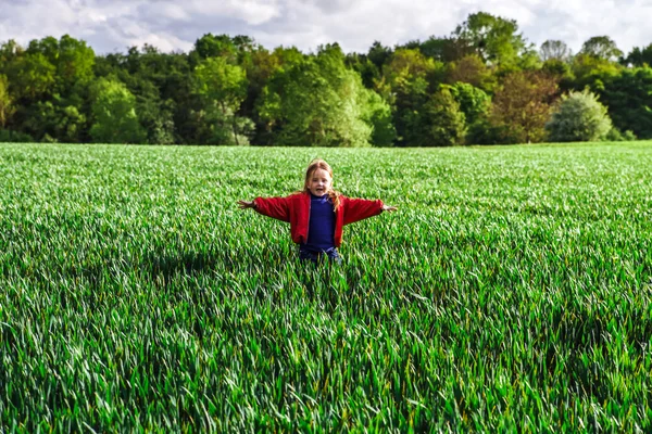 Kleines Mädchen in einem Roggenfeld — Stockfoto