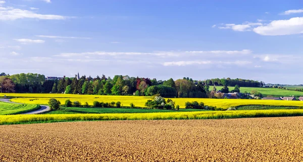 Kolorowy krajobraz wsi z żółtym bittercress pola — Zdjęcie stockowe