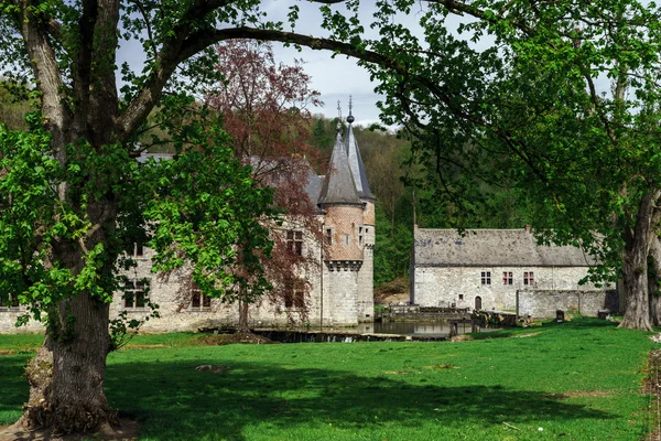 Původní středověký hrad — Stock fotografie