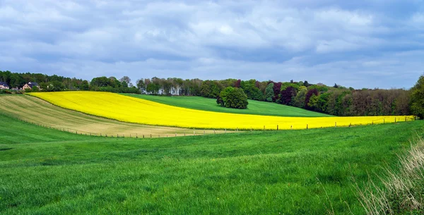 Kolorowe pola krajobraz — Zdjęcie stockowe