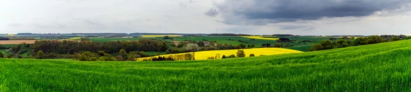 Farbenfrohe Feldlandschaft — Stockfoto