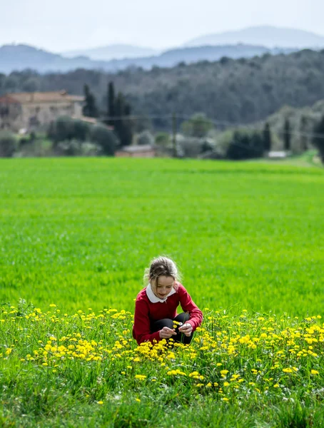 Jong meisje verzamelen bloemen — Stockfoto