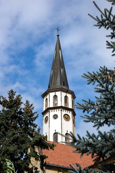 Toren van de kathedraal van de stad in levoca — Stockfoto