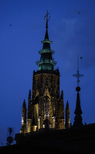Toledo domkyrkans torn på natten — Stockfoto