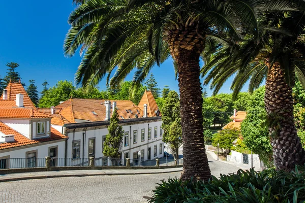 Porto city view — Stock Photo, Image