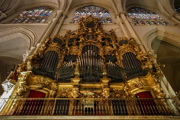 Majestätische Innenräume der Kathedrale — Stockfoto