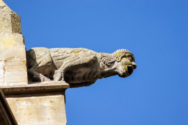 Ortaçağ Katedrali üzerinde çirkin yaratık HEYEL. Mirepoix.