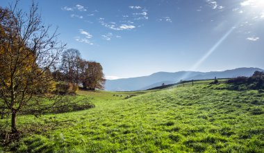 Pirene Dağları'nda sonbahar renkleri