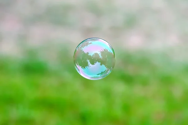 Soap bubble flying — Stock Photo, Image