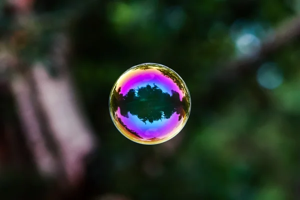 Soap bubble flying — Stock Photo, Image