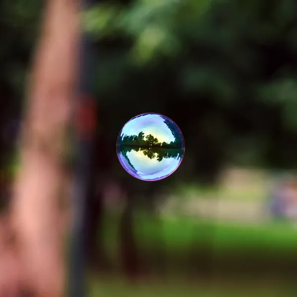 Soap bubble flying — Stock Photo, Image