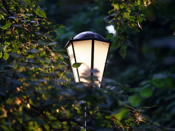 Lampadaire dans parc — Photo