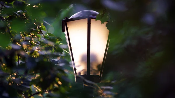 Straatlamp in park — Stockfoto