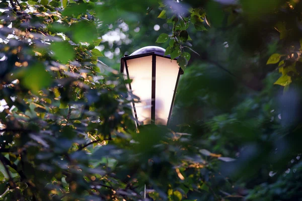 Pouliční lampa v parku — Stock fotografie